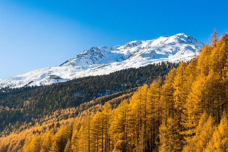 Aussicht vom Alten Holzhaus