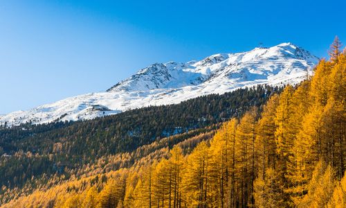 Ausblick vom Alten Holzhaus